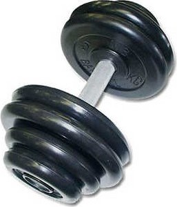 Гантель MB Barbell Профи 26кг Black